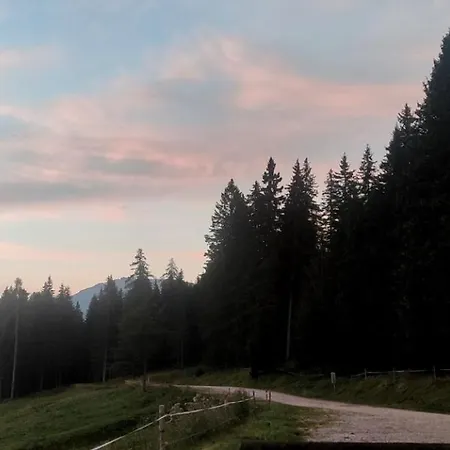 农家乐 Stanza Cuori Malga Ciauta Villanova (Belluno)