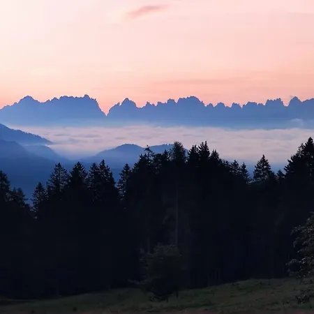 Stanza Cuori Malga Ciauta * Villanova (Belluno)